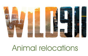 Introducing Wild911 wildlife relocation experts